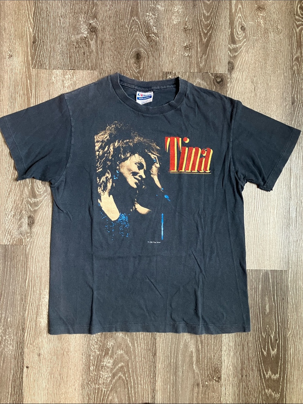 vintage 1985 Tina Turner Private Dancer Tour concert t-shirt